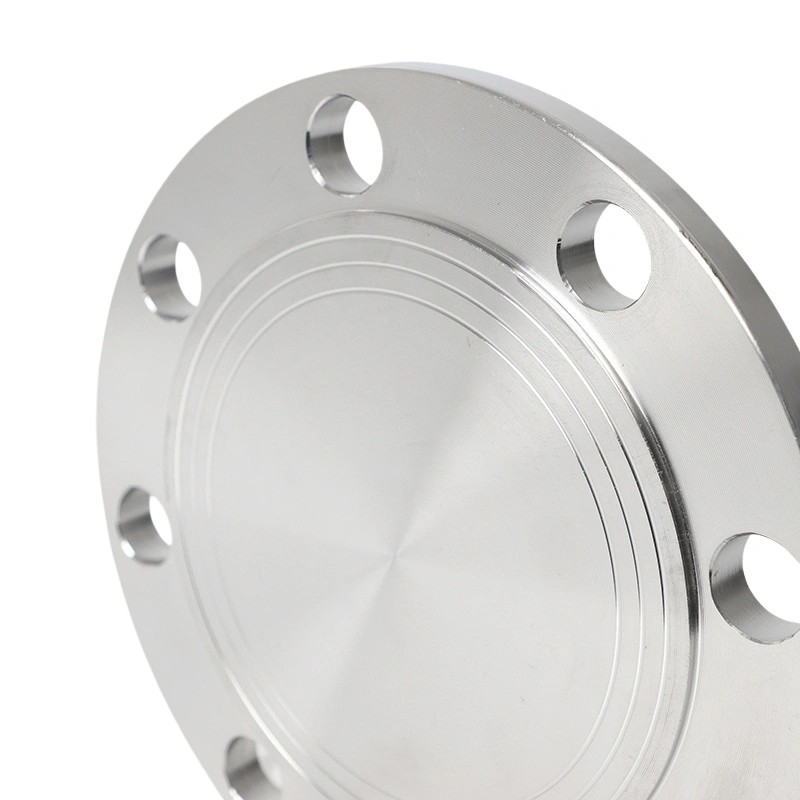 JIS Stainless Steel Blind Flange